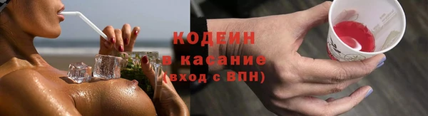 гашик Осинники