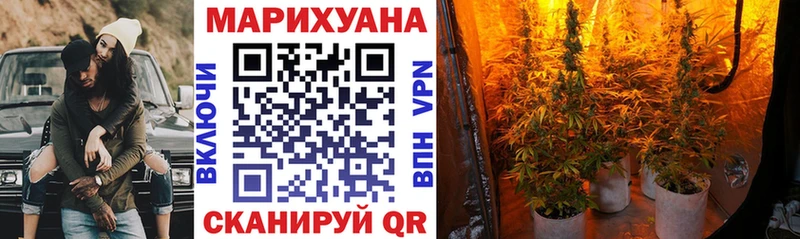 Конопля OG Kush  где купить наркотик  Жуковка 